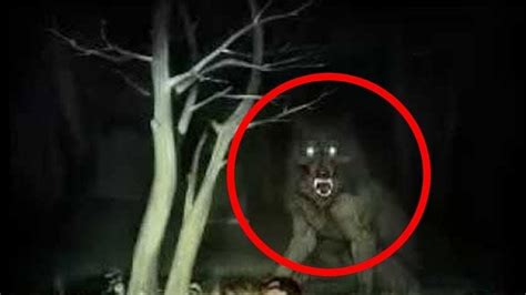 Werewolves caught on camera. Things To Know About Werewolves caught on camera. 